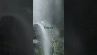 Al Quran Surah Al Hujraat #surahhujurat #shorts #quran