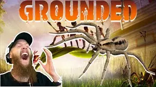 Grounded! *SPIDER JUMP SCARE* *ARACHNOPHOBIA*!!
