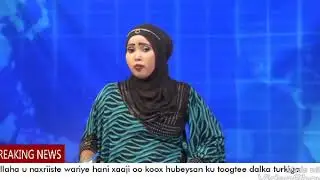 Wariye hani xaaji oo ku geeriyootay turkiga