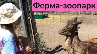 Зоопарк в Канаде | Кормим животных
