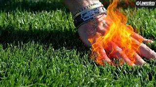 FIRE your LAWN CARE NOW!