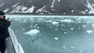 Alaska’s Aialik Glacier - Kenai Fjords Tours