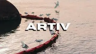[FREE] Bossa Nova / Laufey Type Instrumental 