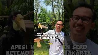 Burung Lepas Bebas! Liburan di Jakarta Bird Land Ancol 😱 #shorts