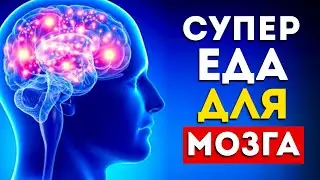 10 Foods Your Brain Loves (You Didn't Know)
