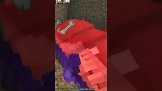 I Killed Real Shark In Minecraft|Watch Till The End|#shorts #minecraft