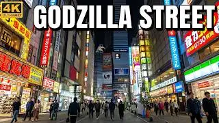Tokyo Godzilla Street Shinjuku | Japan