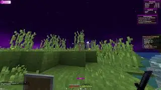 ЛЮТЫЙ ГРИФ ПОСЛЕ ВАЙПА НА REALLYWORLD С КРЯКОМ CELESTIAL