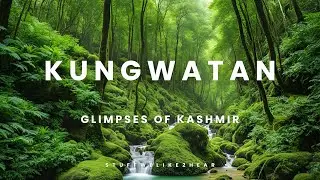 Iphone 15 Plus HDR 4K60FPS Video Glimpses of Kungwatan Kashmir  #nature #kashmirbeauty #kashmir