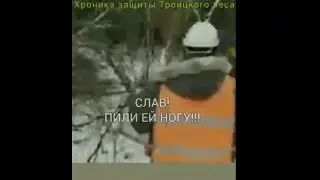 Пили ногу!