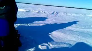 Едем на собаке