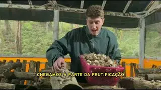 Sítio Lucrativo com Cogumelos | 3 Aulas Ao Vivo Gratuitas dias 03, 04 e 05 de julho