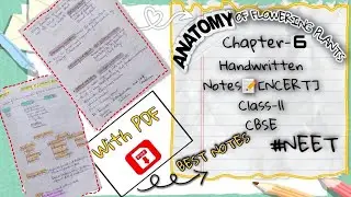 Biology Chapter-6 Anatomy of Flowering Plants Class-11 Best Handwritten Notes(PDF) NCERT | NEET |