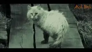 Уродливый Кот. Стихотворение