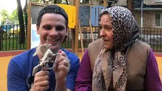 GAN_13_ | Подборка вайнов с Андреем Борисовым 😎