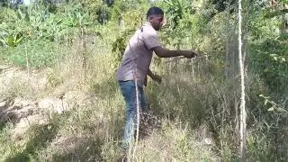 kama masihara jamaa kanasa kwel