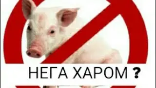 CHO'CHQA GO'SHTI  NEGA XAROM BILASIZMI?