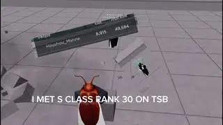 I Met S-Class Rank 30 on TSB (The Strongest Battlegrounds)