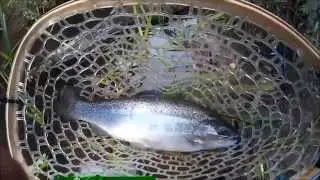 Эстонский вояж с L.BAITS.