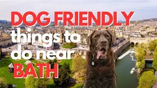 3 Dog Friendly Things To Do in Bath, UK