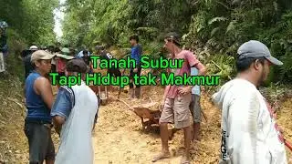 Tanah Subur Tapi Hidup Tak Makmur #youtubeshorts  #katakatamotivasistory