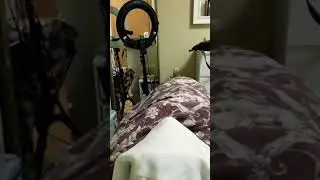 Изгнание Джинов на сеансе.