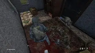 DayZ_20210618214522