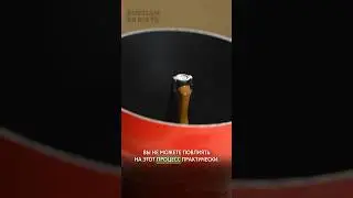 ⛔️ Почему гейзер «не очень» Как вы относитесь к гейзерной кофеварке?