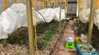 Трудовые выходные на даче . Обзор проделанной работы.