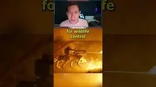 Flame Throwing Robot Dogs Are Here!
