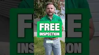 Chinch Bugs Love Dry Conditions… 