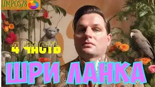 4 часть. Шри Ланка в сентябре. 2024 год. Экскурсия, едим лобстеров.