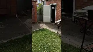 Куры сбежали 😱