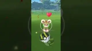 PokemonGO Shiny Shorts - Shiny Litleo #shorts