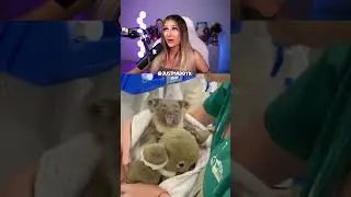Try not to "AWW" Challenge ! HARD