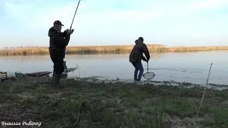 КУДА СТОЛЬКО РЫБЫ? Поймала Серёгу. Рыбалка Нерест карася.