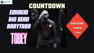 COUNTDOWN TILL TOBEY RELEASE EMINEM BIG SEAN BABYTRON