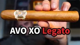 AVO XO Legato - Cigar Review