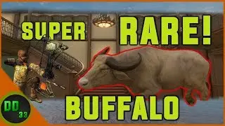 Finding a Giant ALBINO WATER BUFFALO for our Trophy Lodge!! TheHunter Call of the Wild 2019