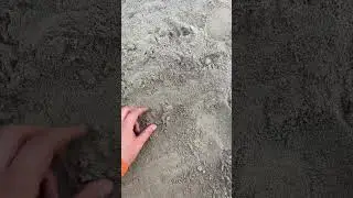 Металлоискатели в Казахстане, Алматы.