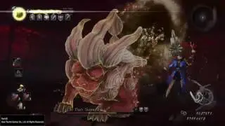 Nioh : Okatsu Fight All Boss! Version 1.08 Run