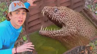 Found a Sewer Full of Monsters!
