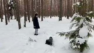 Борьба со снегом!Прогулка по деревне.