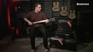 Комбоусилитель Bosstone GA-40W
