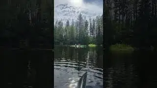 26 мая 2024 г.