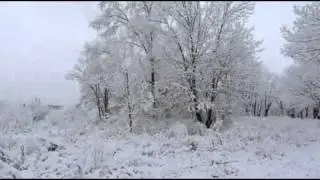 Первый снегопад осень 2011.avi