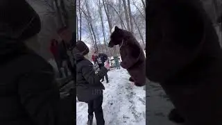 2 апреля 2023 г.