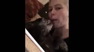 me and my dog