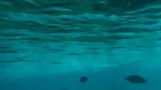 Snorkeling at the Olhuveli island reef.