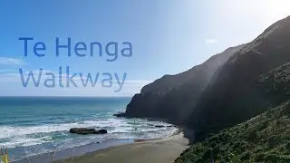 Te Henga Walkway
